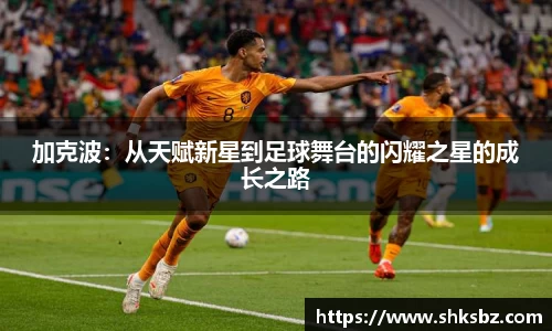 365上市公司平台